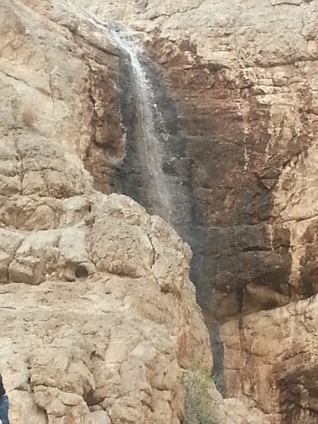 abshar asli