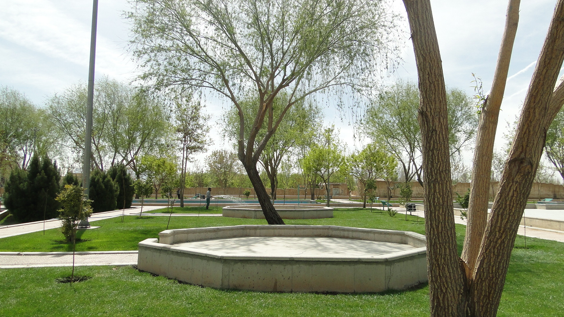 DSC09735
