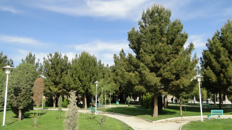 DSC09670