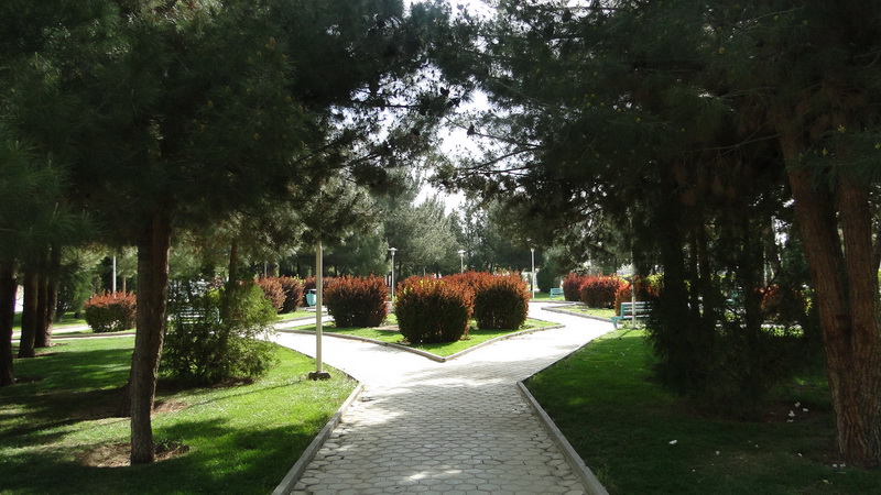 DSC09689