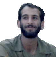 mansour najarpour